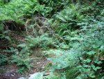 100708Kalltrail (218).JPG
