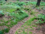 DSC02395.JPG