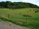 DSC02546.JPG