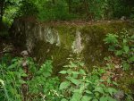 DSC02444.JPG
