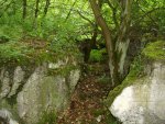 DSC02471.JPG