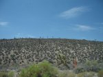 IMG_1394.JPG