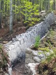 20180925_123039.jpg