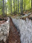 20180925_122549.jpg
