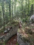 20180925_121959.jpg