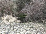 IMG_7912.JPG