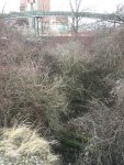 IMG_7913.JPG