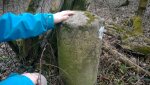 WP_20160220_16_40_13_Pro.jpg