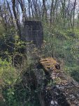 IMG_4776.jpeg