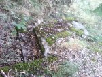 Foto024.jpg