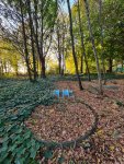20211031_152327.jpg