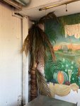 IMG-20211031-WA0017.jpg