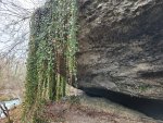 20211218_113125.jpg