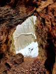 682.jpg