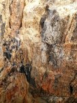 686.jpg